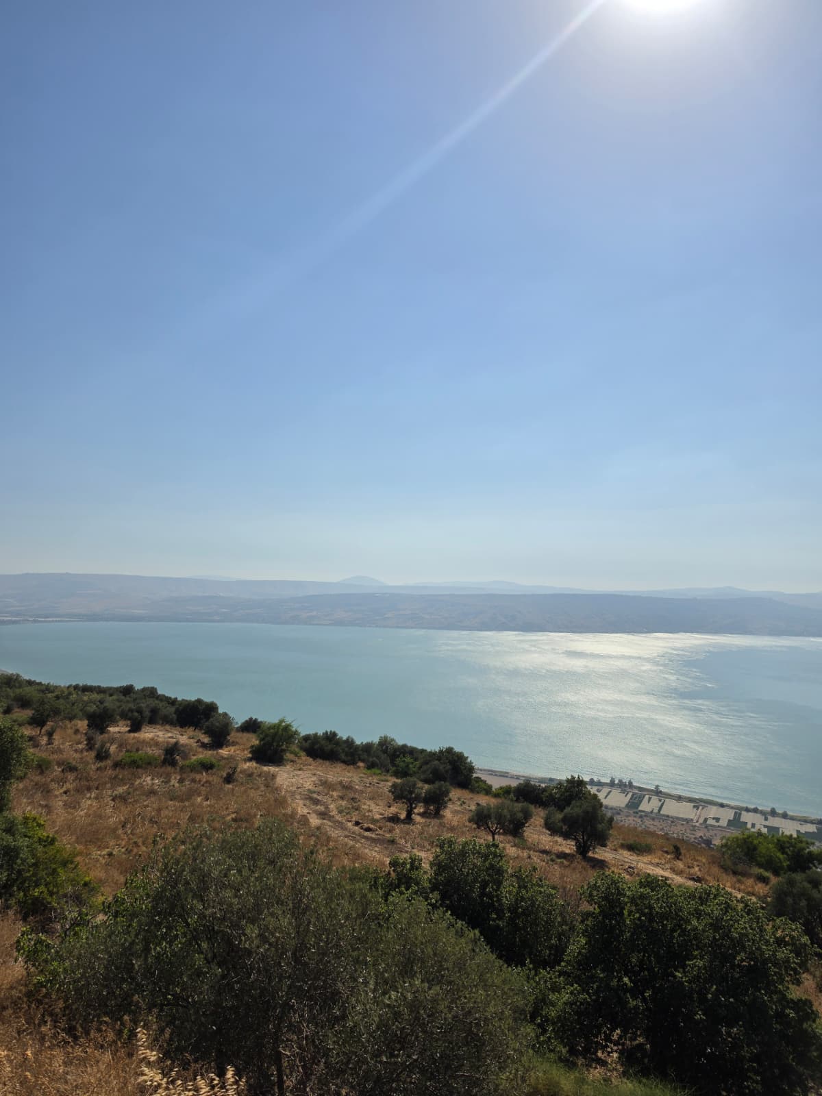 "מעיין השלום" בדרום הגולן