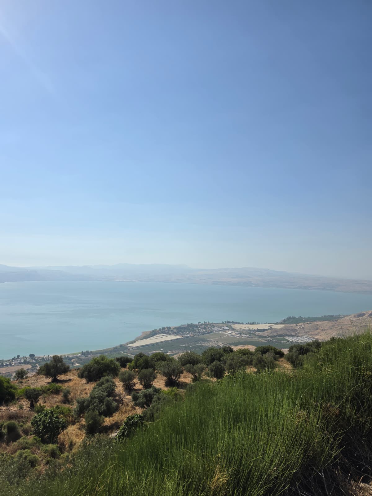 "מעיין השלום" בדרום הגולן