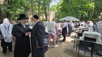 מראות ניקלשבורג בהרי הקאנטרי