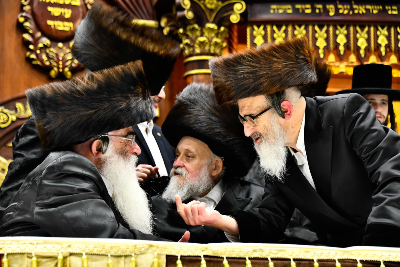 שמחת בית דארג - מאור החיים