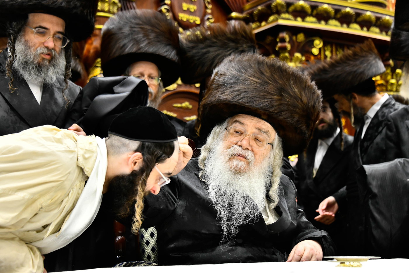 שמחת בית דארג - מאור החיים