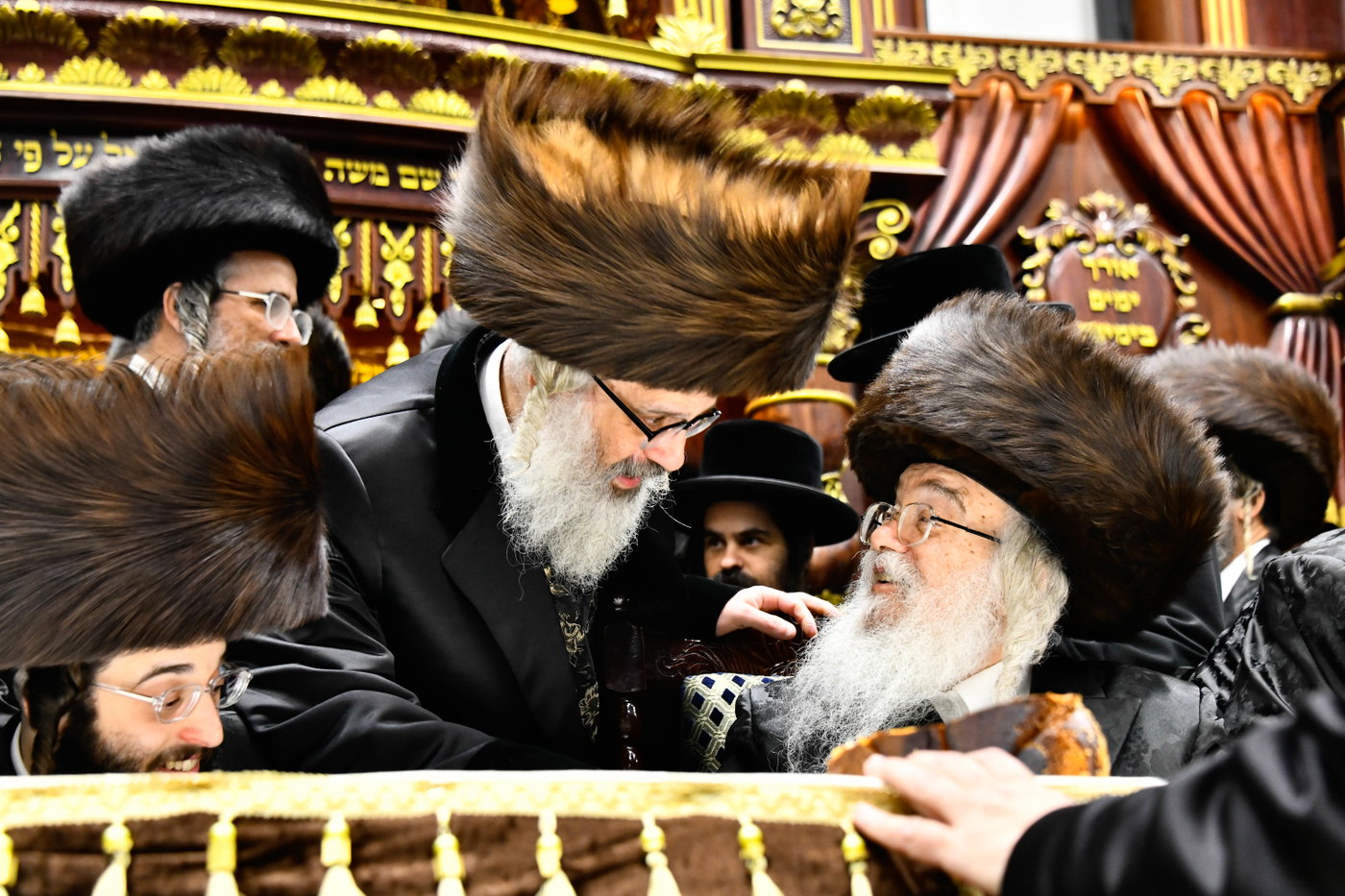 שמחת בית דארג - מאור החיים