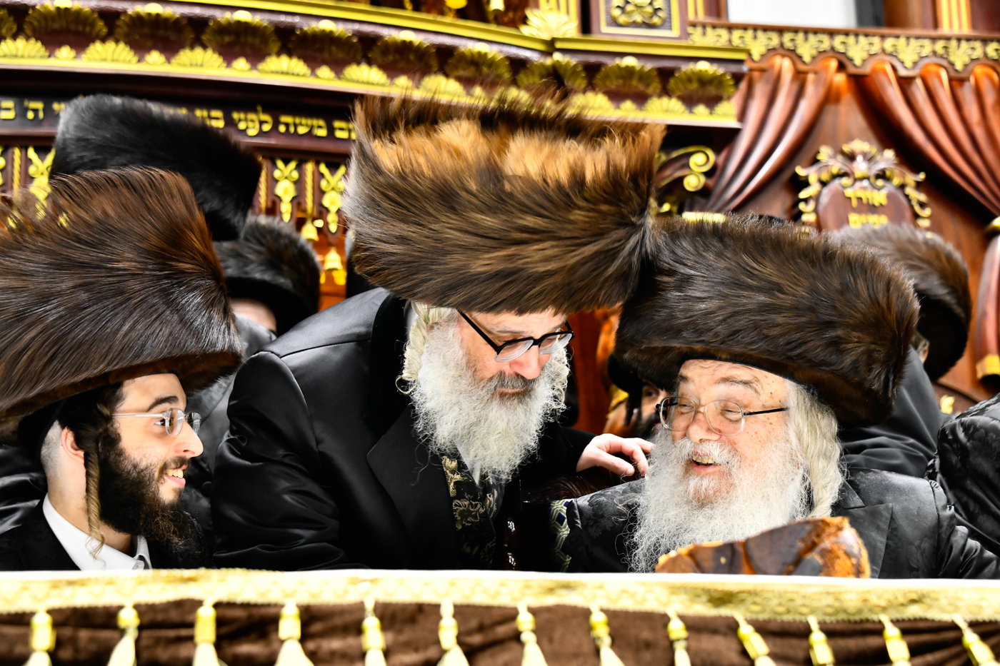 שמחת בית דארג - מאור החיים