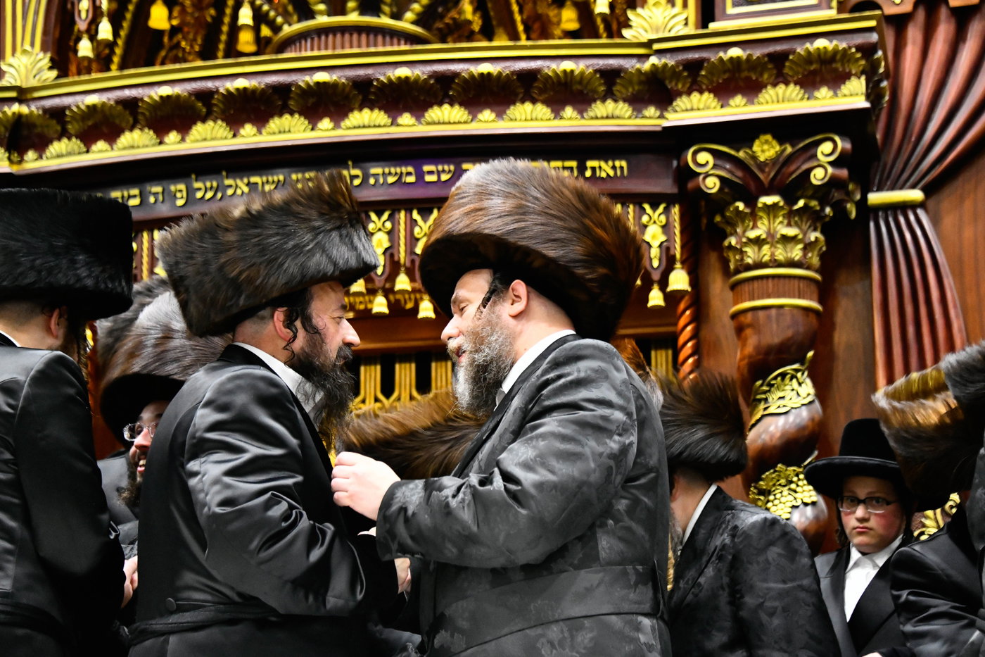 שמחת בית דארג - מאור החיים