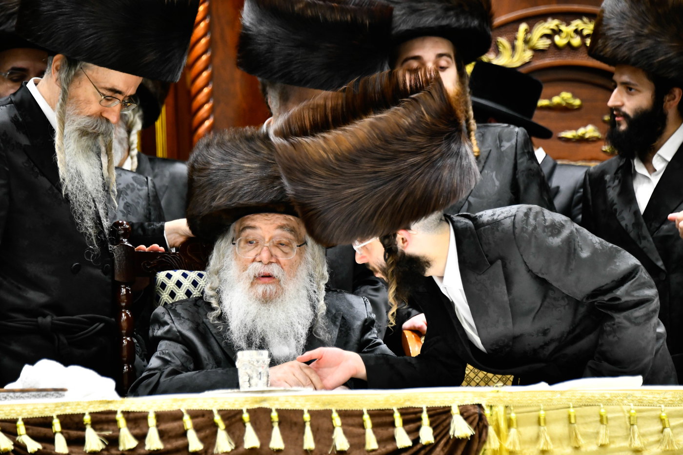 שמחת בית דארג - מאור החיים