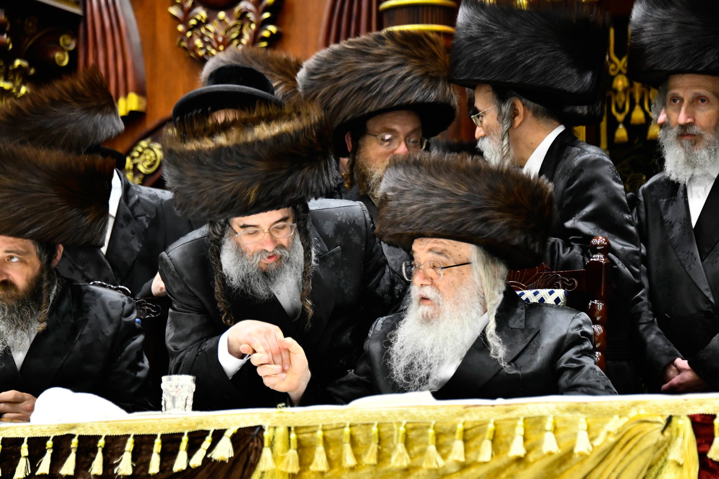שמחת בית דארג - מאור החיים