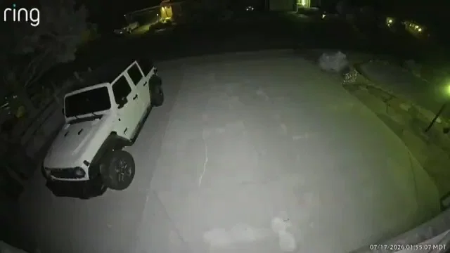 הסתגרה באמבטיה: בעלת הבית נדהמה כשנתקלה במסדרון באורח מנומס 