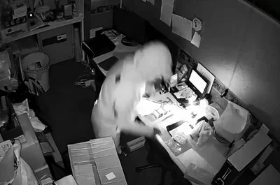 רוקן כמעט את כל המלאי: חנות מבטיחה פרס כספי גבוה למוצא שודד נועז | צפו