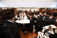 שמחת הברית בחצה"ק בעלזא