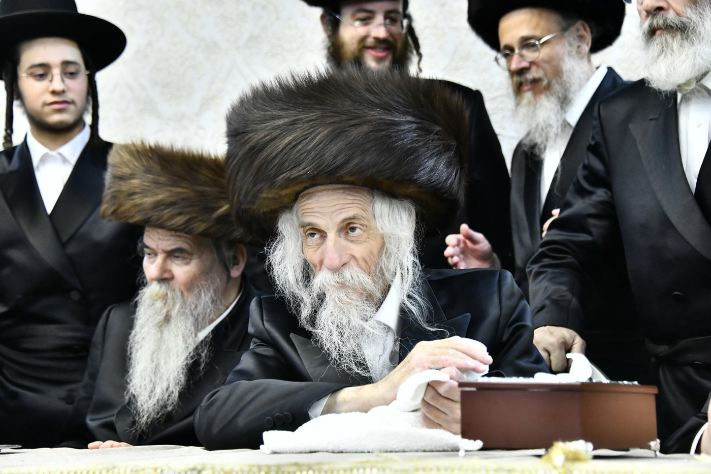 שמחת בית סטריקוב - זוויעהיל - לויעב