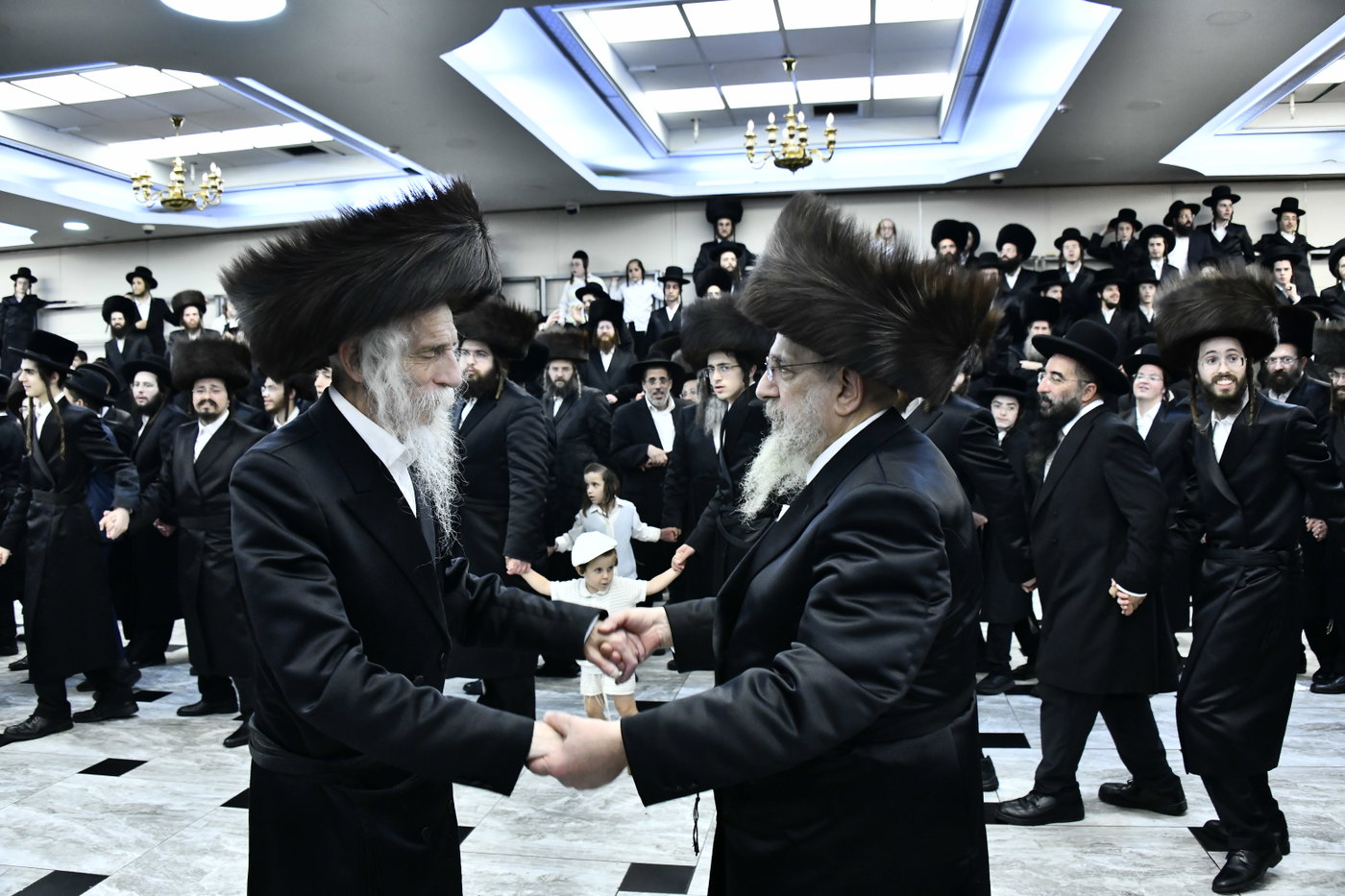 שמחת בית סטריקוב - זוויעהיל - לויעב