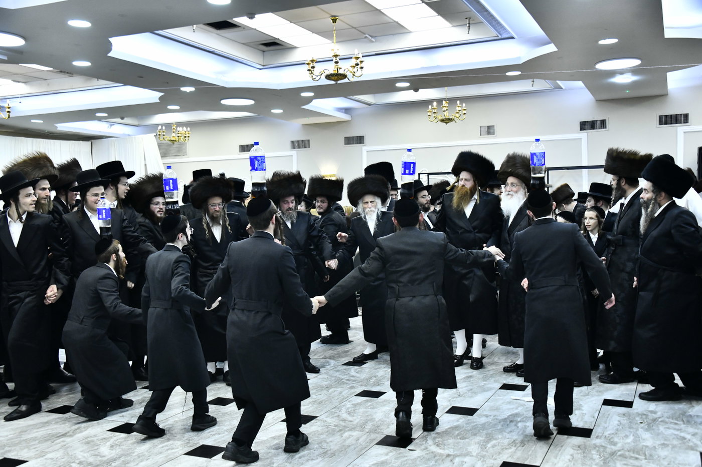 שמחת בית סטריקוב - זוויעהיל - לויעב