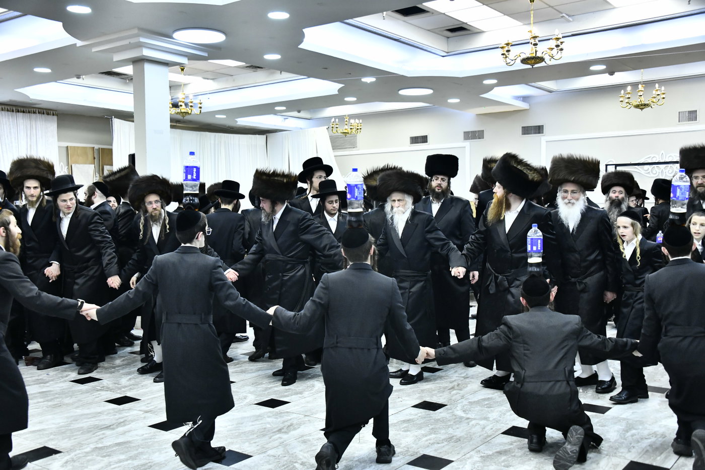 שמחת בית סטריקוב - זוויעהיל - לויעב