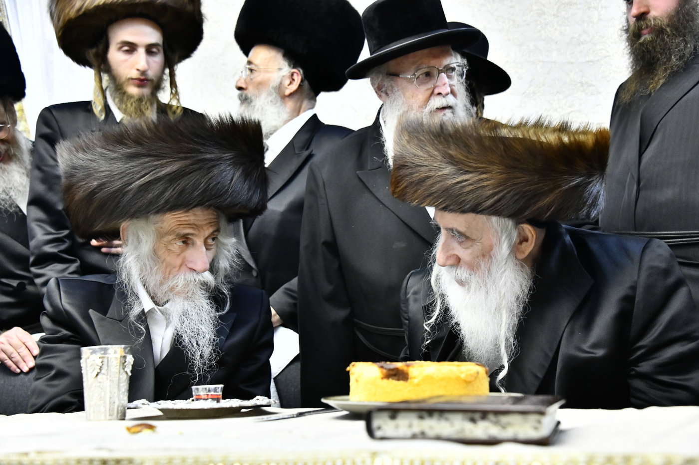 שמחת בית סטריקוב - זוויעהיל - לויעב