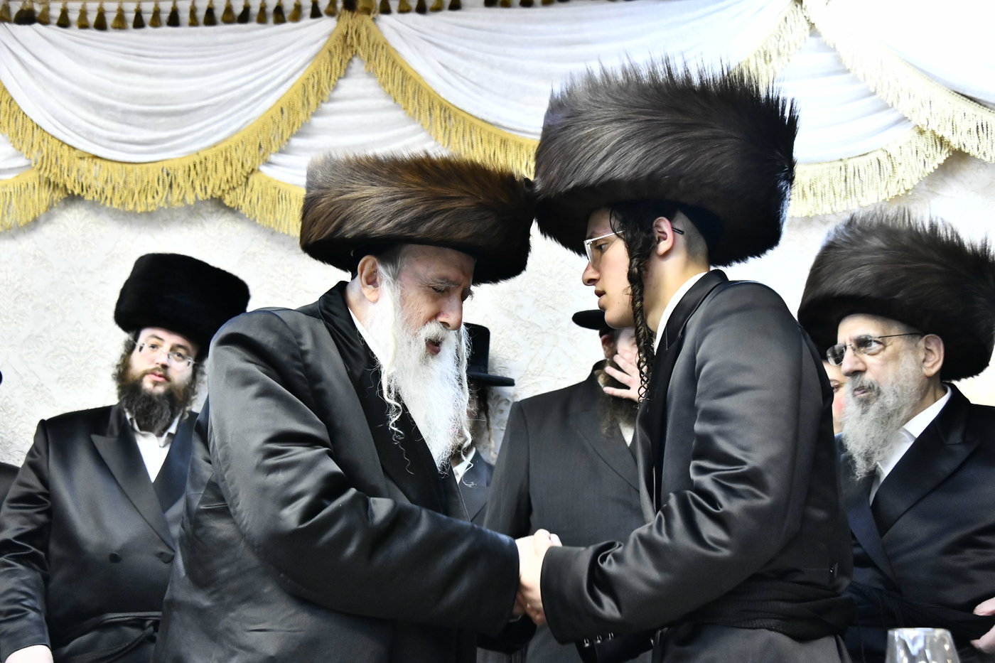 שמחת בית סטריקוב - זוויעהיל - לויעב