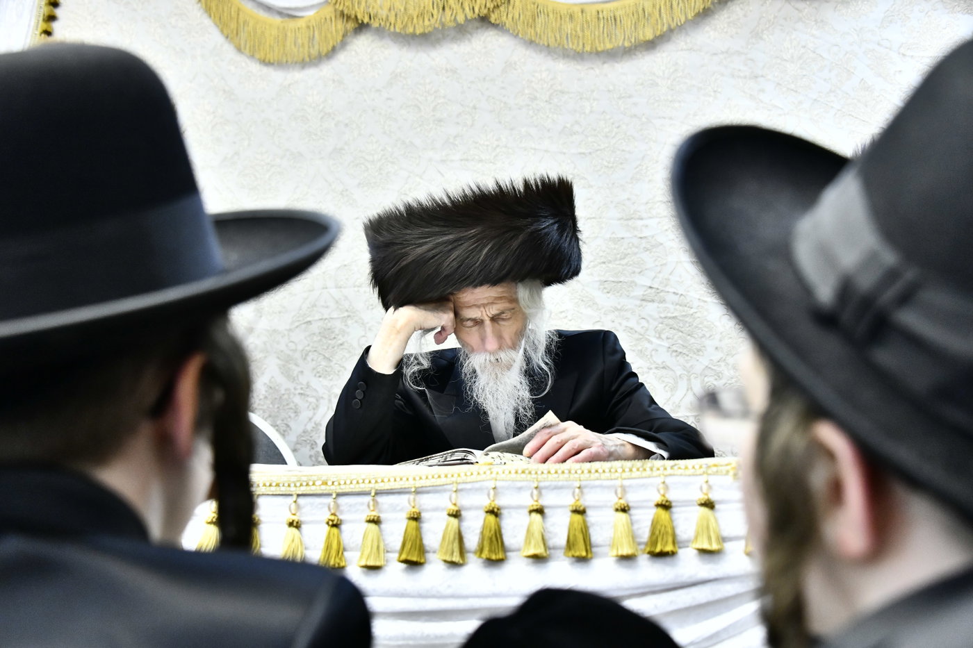 שמחת בית סטריקוב - זוויעהיל - לויעב