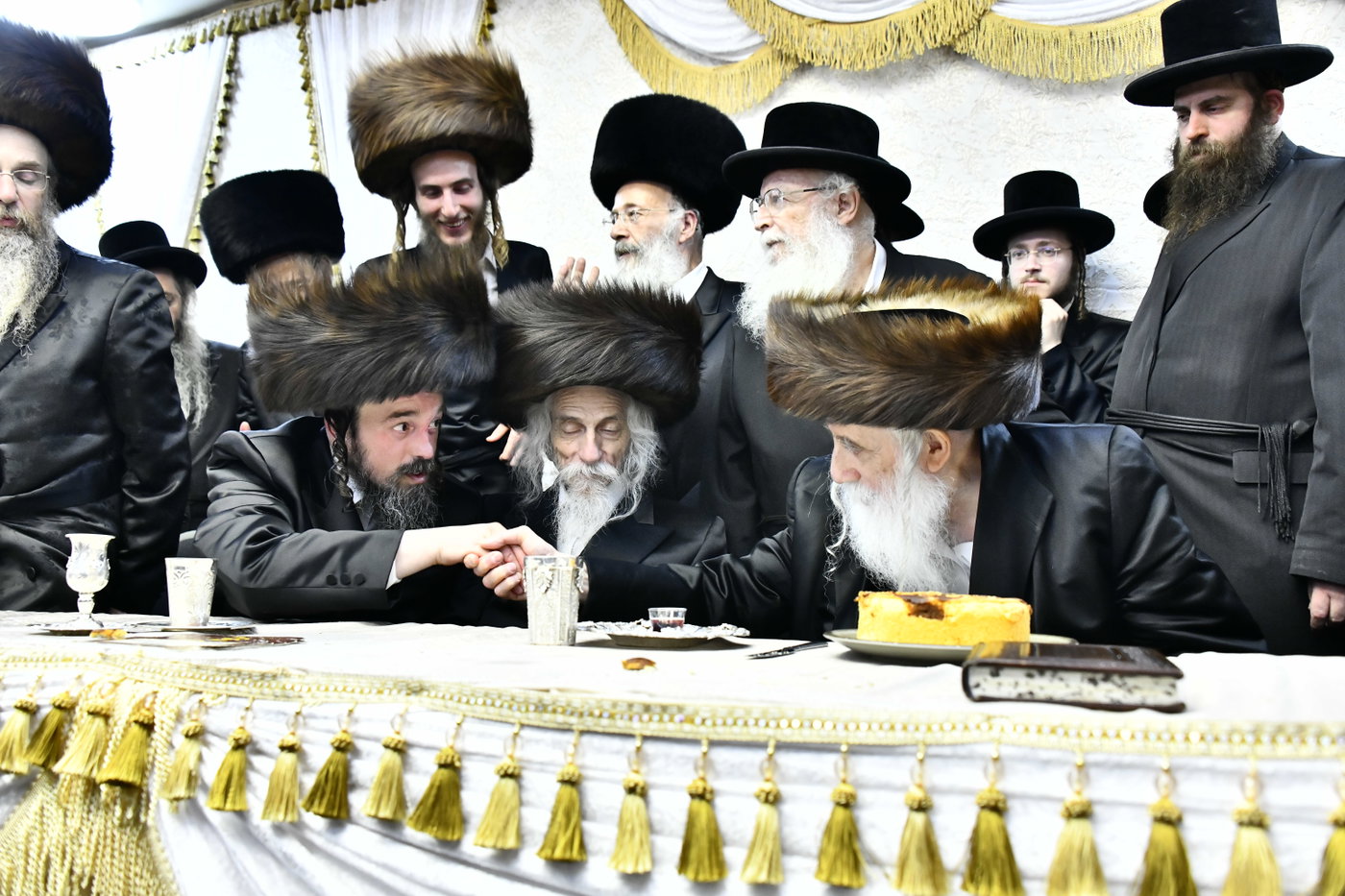 שמחת בית סטריקוב - זוויעהיל - לויעב