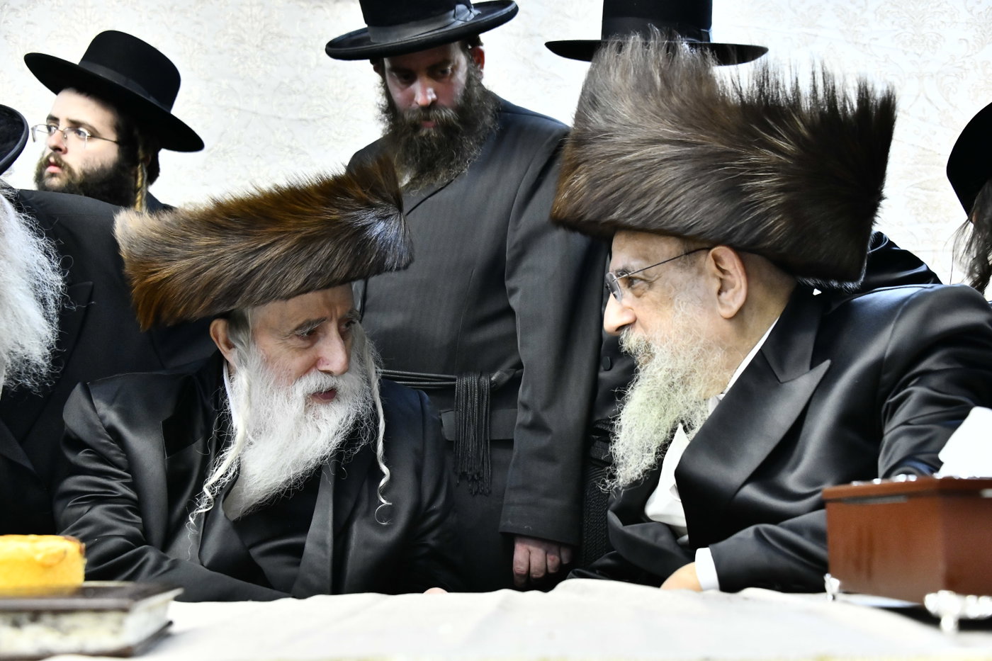 שמחת בית סטריקוב - זוויעהיל - לויעב