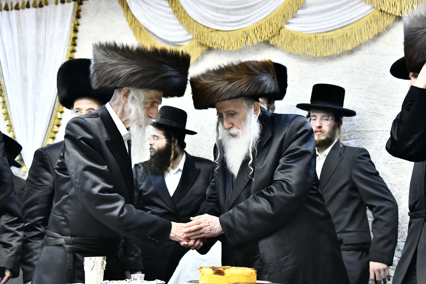 שמחת בית סטריקוב - זוויעהיל - לויעב