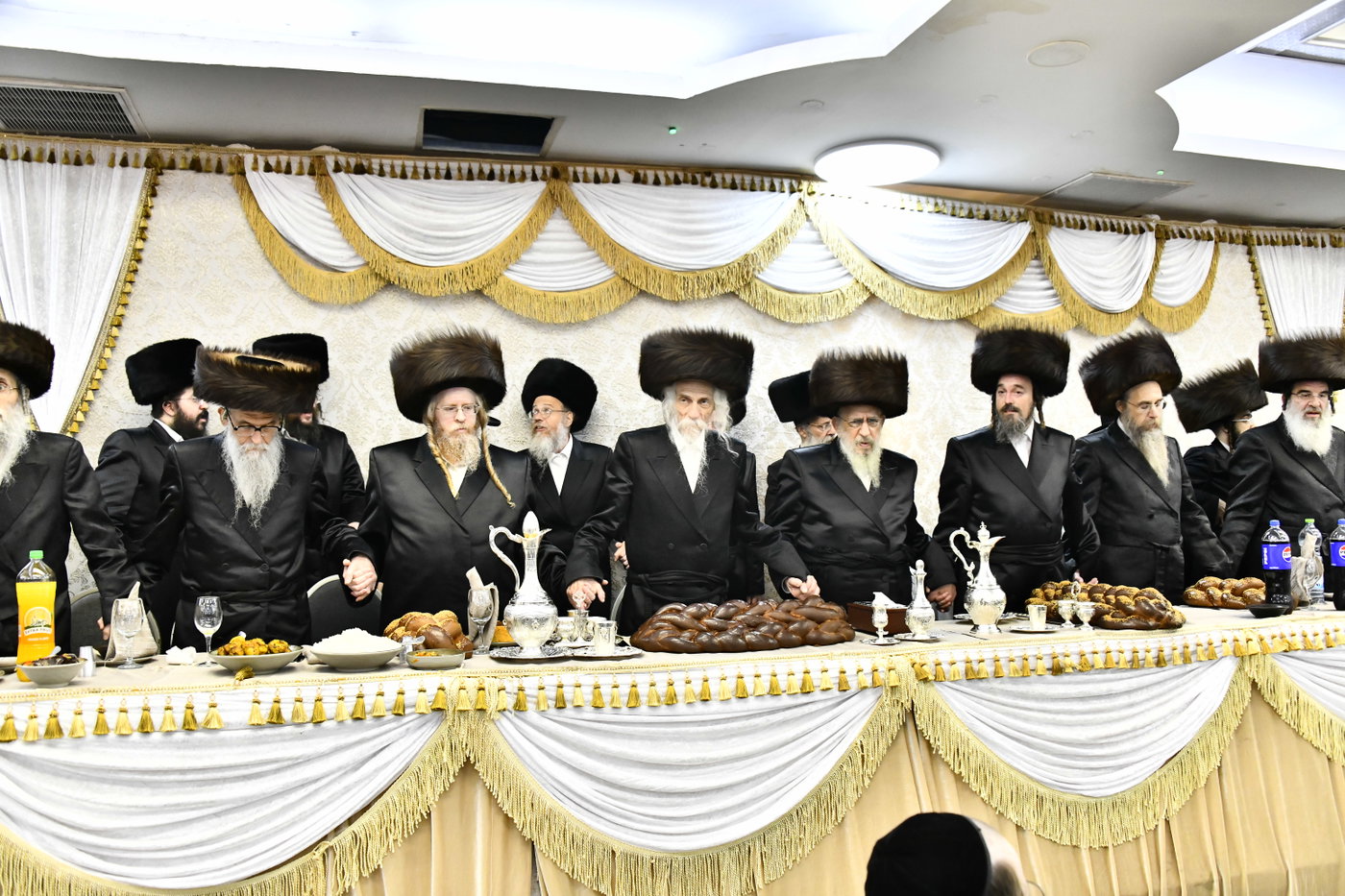 שמחת בית סטריקוב - זוויעהיל - לויעב