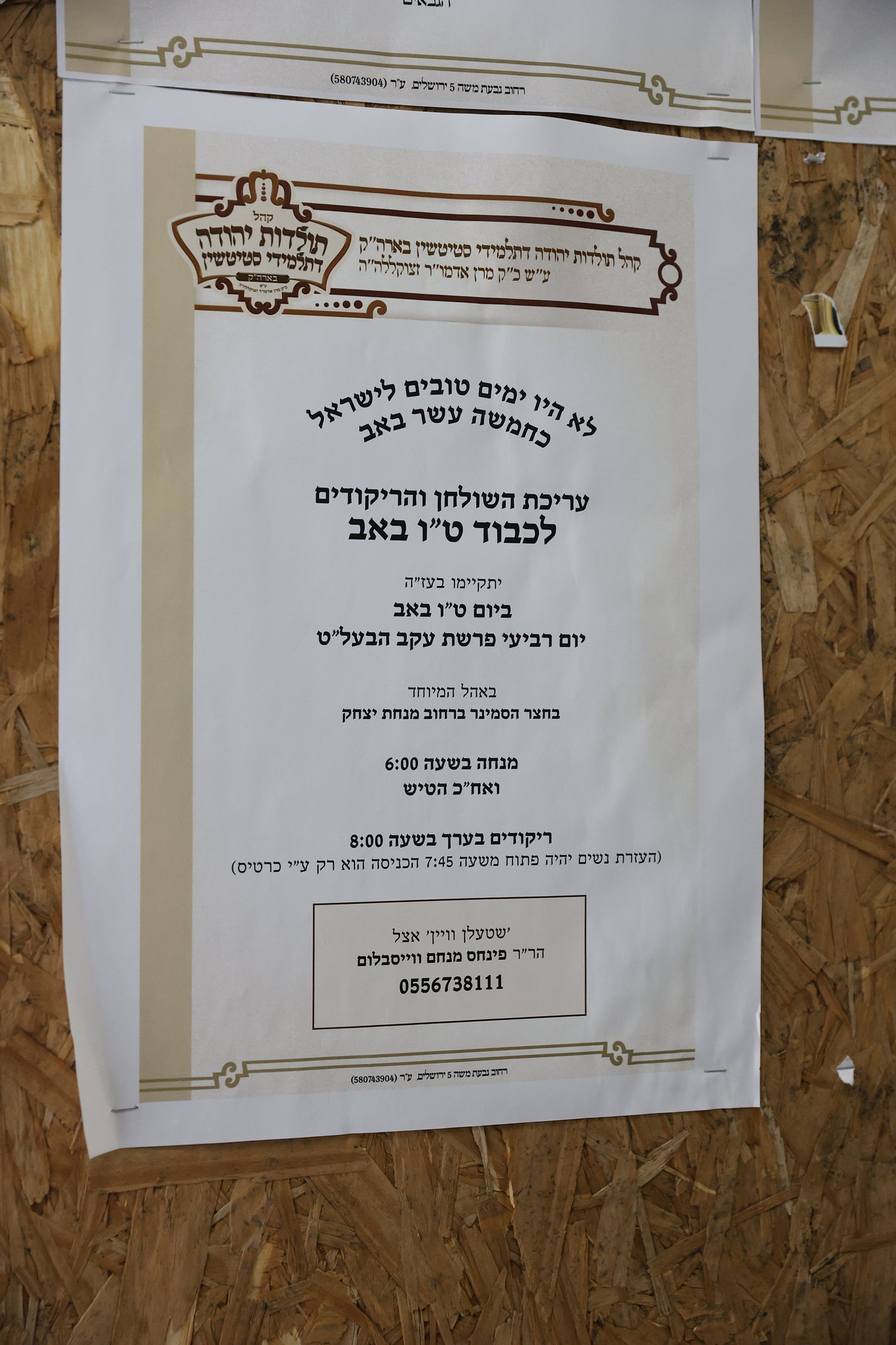ט"ו אב בחצה"ק תולדות יהודה