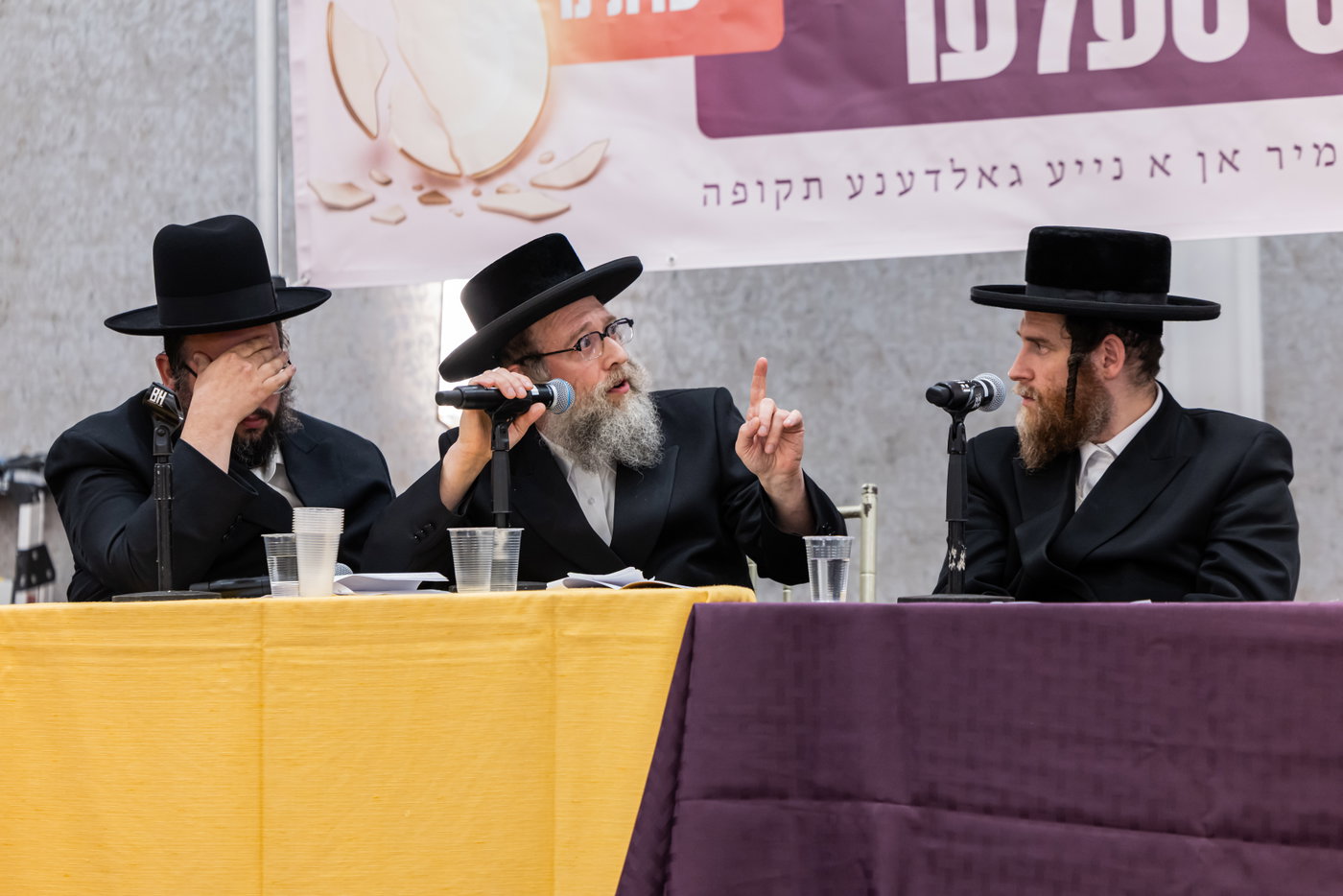 כינוס השדכנים בסאטמר