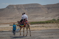 מטיילים במדבר יהודה