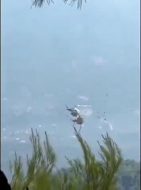 תיעוד מטורף מיוון: מסוקי הכיבוי מתנגשים באוויר - ומתרסקים לקרקע