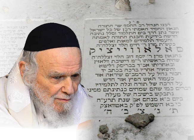 הבקשה החריגה של הגרמ"ה הירש מהגר"י פישהוף: בטל את הגזירה!