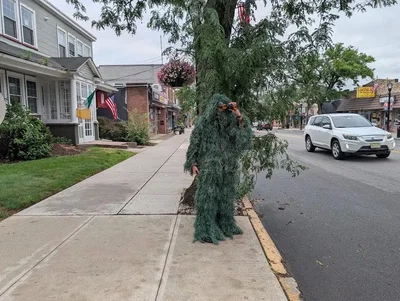 שוטר דונלן התחפש לשיח כדי לעצור נהגים מוסחים 