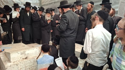 האדמו"ר מאמשינוב בתפילה בטבריה