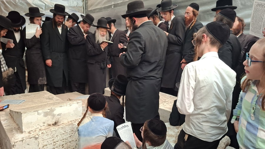 האדמו"ר מאמשינוב בתפילה בטבריה