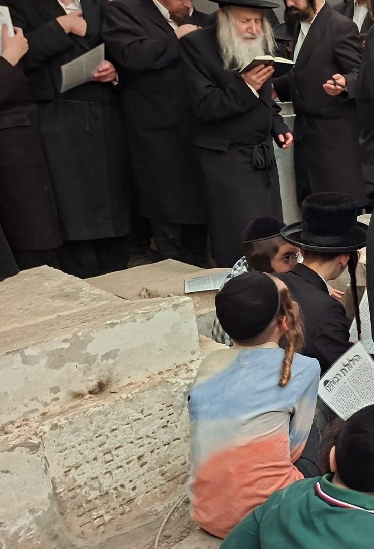 האדמו"ר מאמשינוב בתפילה בטבריה