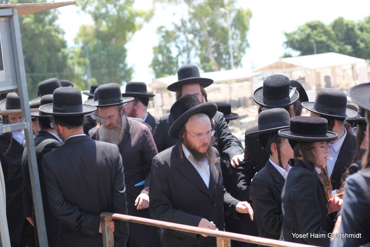 האדמו"ר מאמשינוב בטבריה
