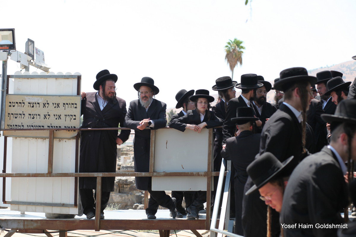 האדמו"ר מאמשינוב בטבריה