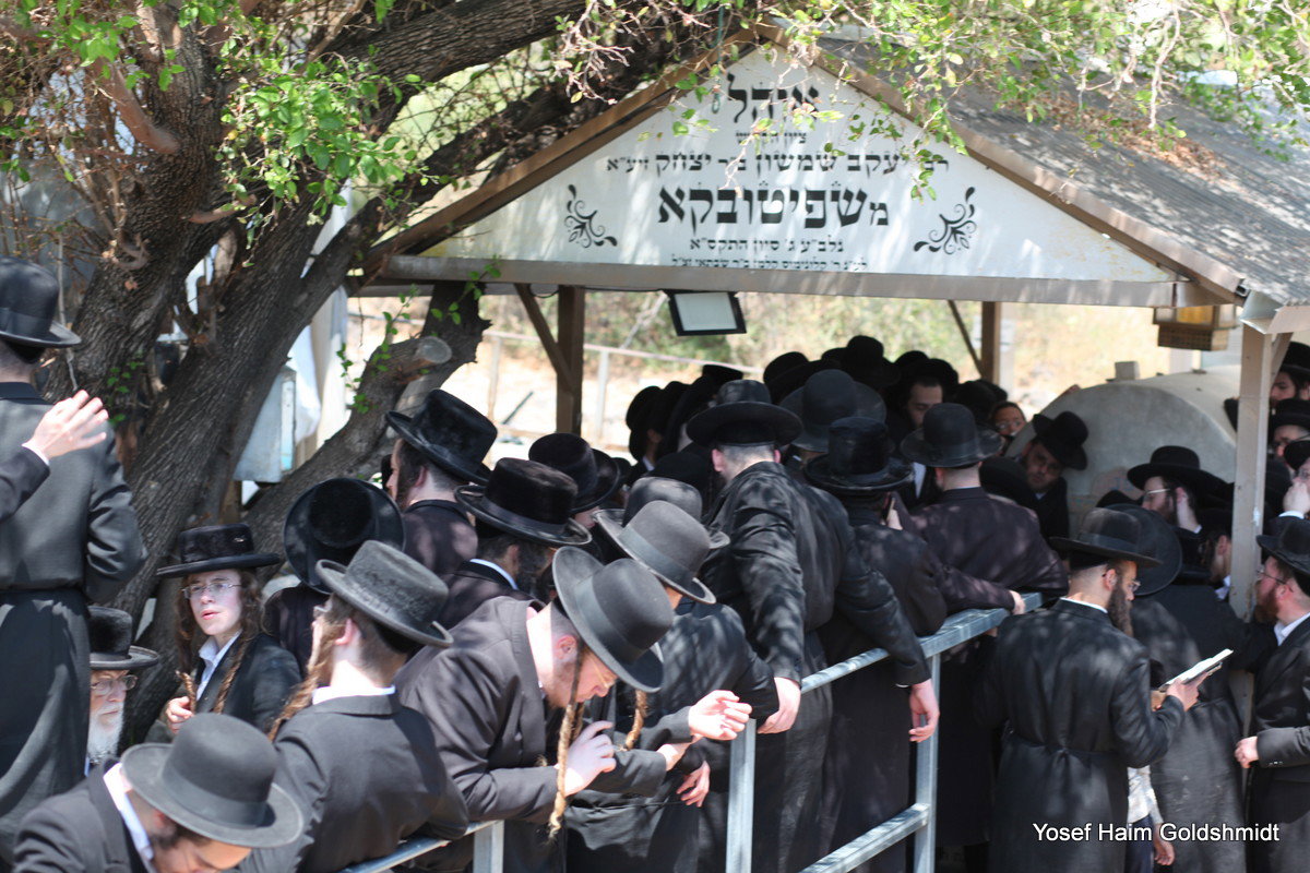 האדמו"ר מאמשינוב בטבריה