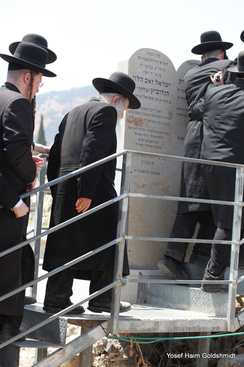 האדמו"ר מאמשינוב בטבריה