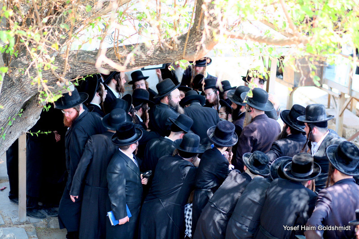 האדמו"ר מאמשינוב בטבריה