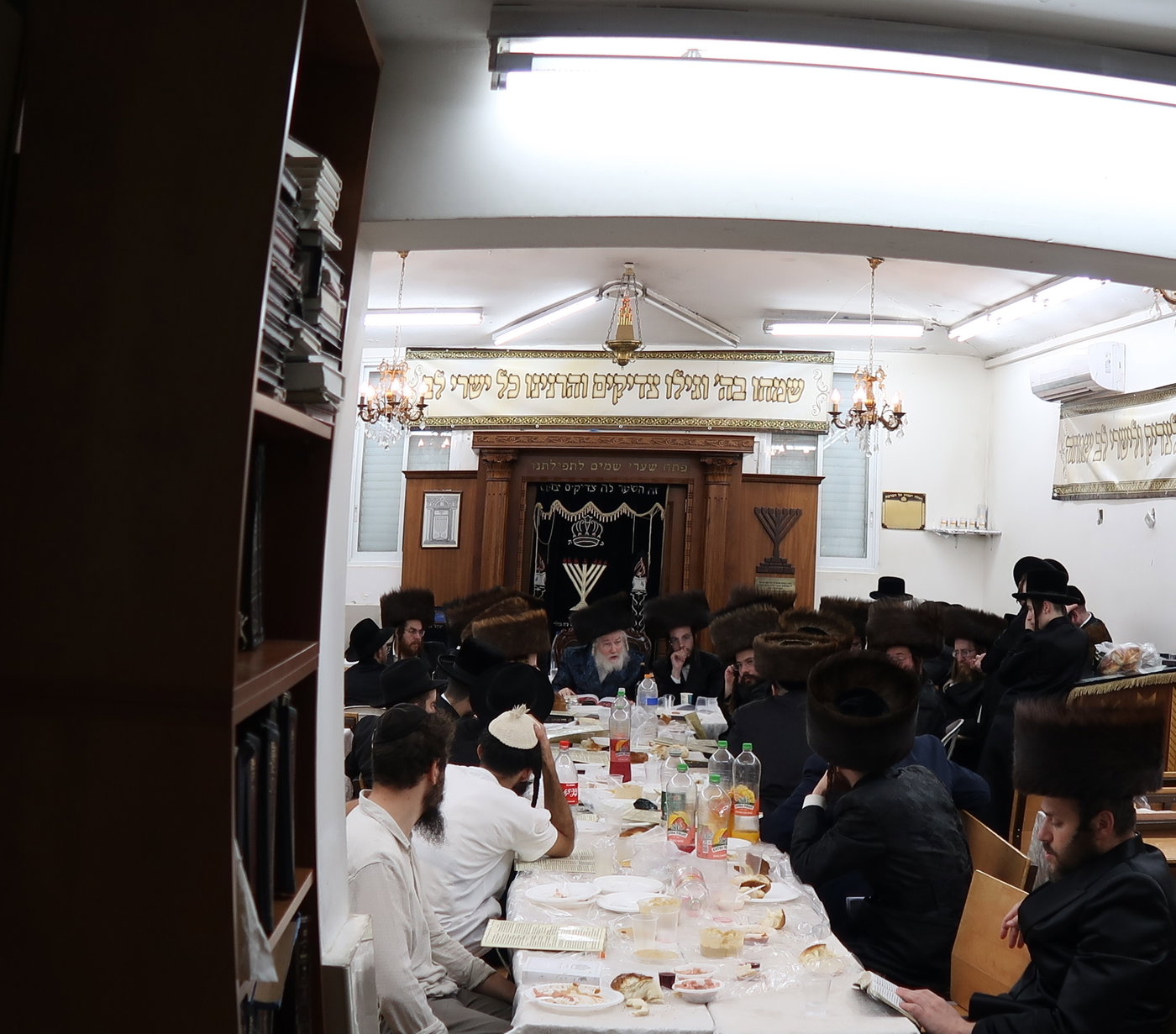 מוצאי שבת ש"ב בחצרות קופיטשניץ- פרדס כץ 