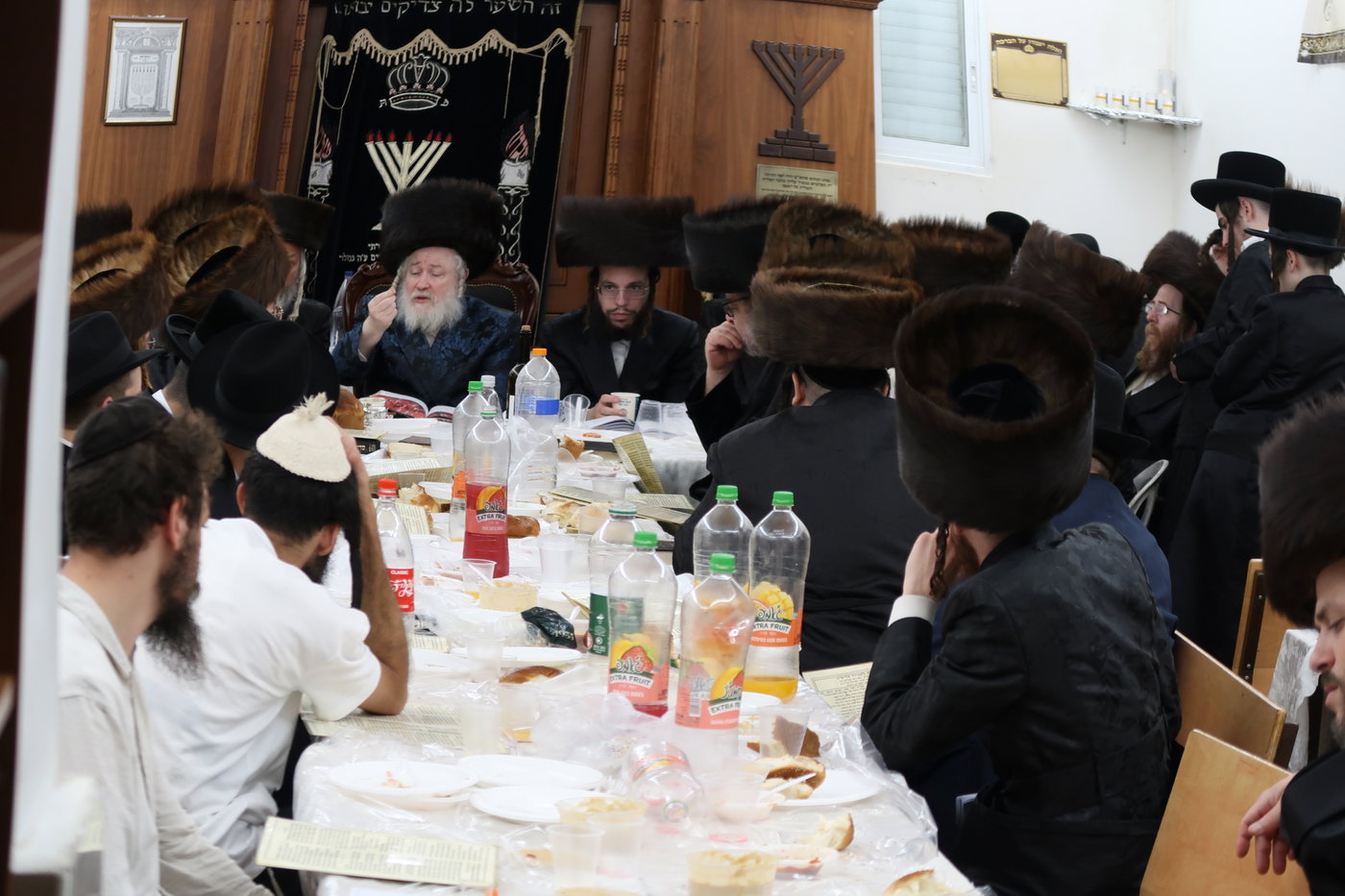 מוצאי שבת ש"ב בחצרות קופיטשניץ- פרדס כץ 