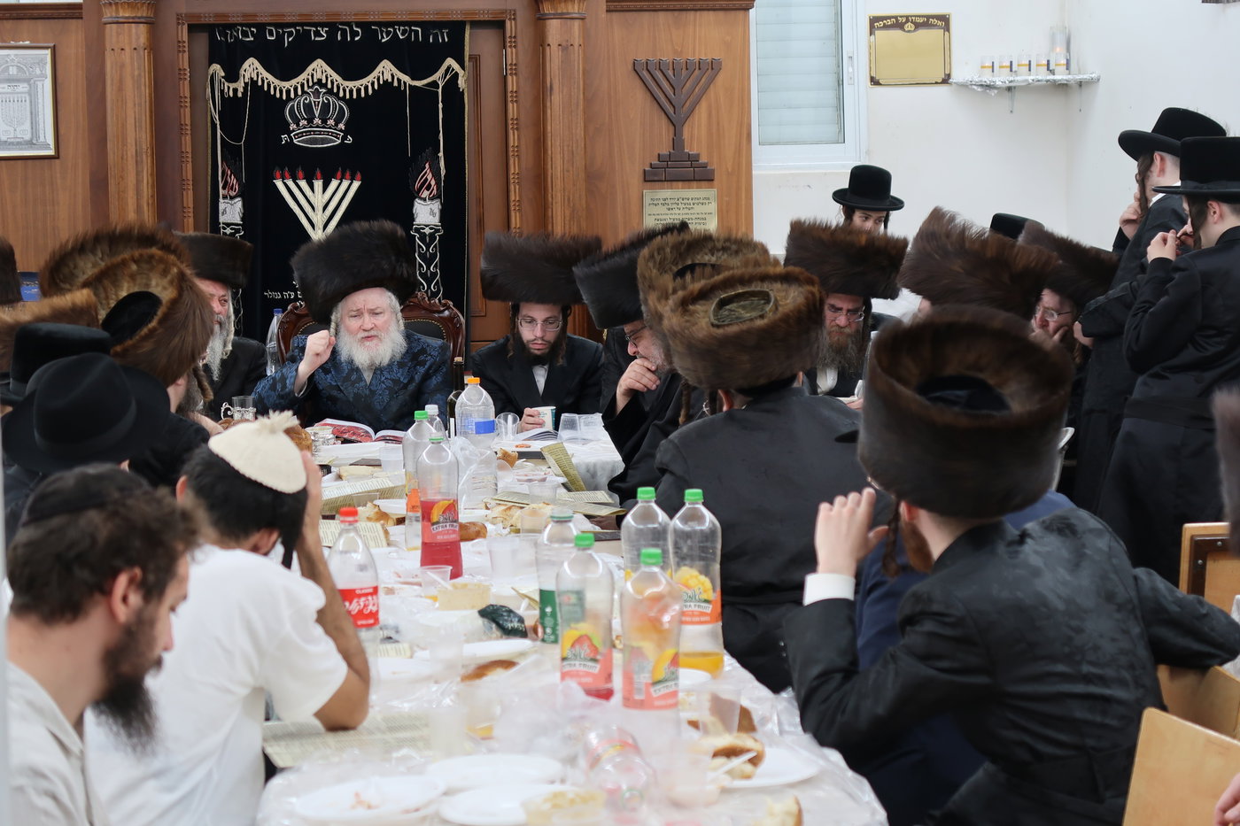 מוצאי שבת ש"ב בחצרות קופיטשניץ- פרדס כץ 