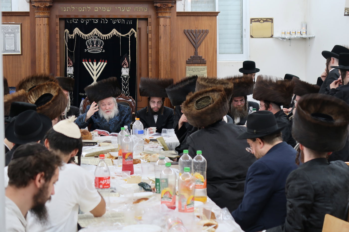 מוצאי שבת ש"ב בחצרות קופיטשניץ- פרדס כץ 