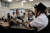 הגרב"ד אלישיב במנוחה בנתניה