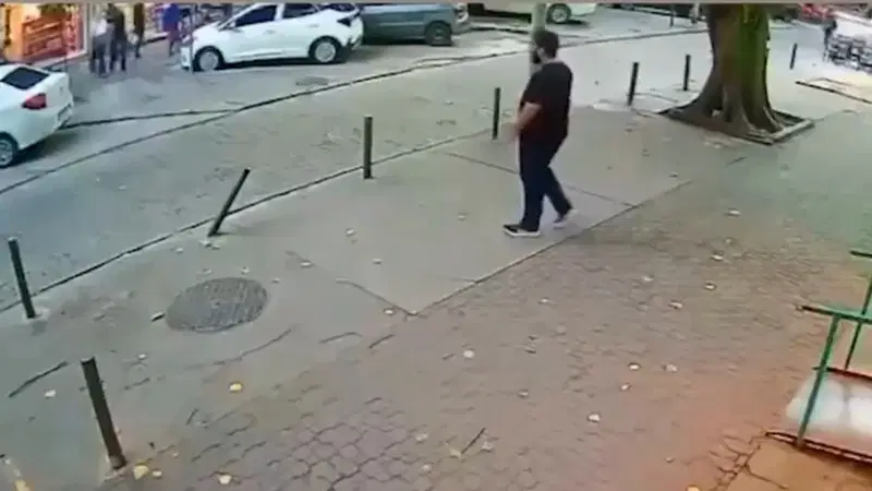 מילימטר מהמוות: עץ ענק קרס במפתיע על הולך רגל 