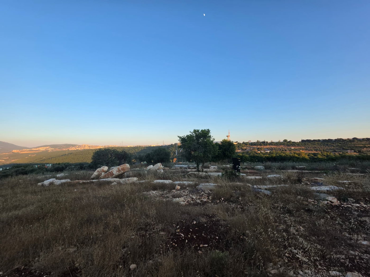 שביל נורמן - אחד השבילים הכי מוזרים וקסומים בגליל