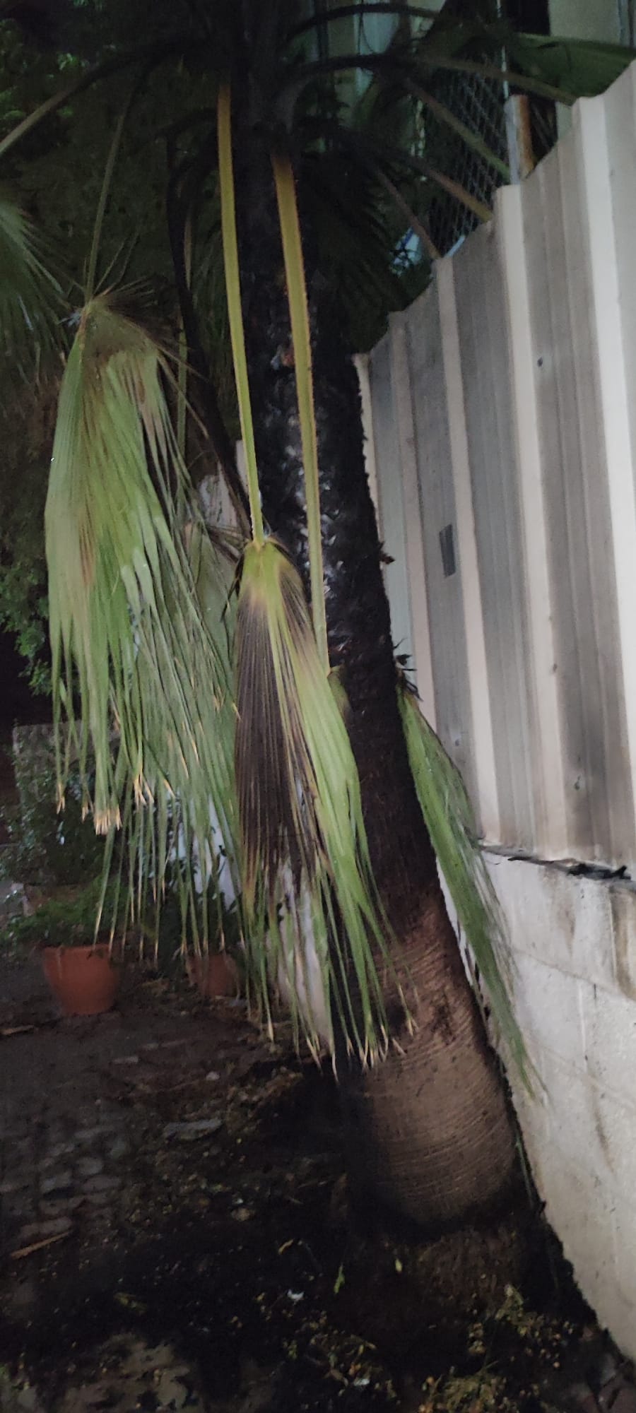 חשד להצתה: 7 דיירים פונו לאחר שריפות במוקדים שונים ברמת גן