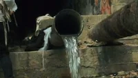 הכירו את "עין ערבות": מים הזורמים מצינור שחור גדול ויוצרים בריכה קרירה