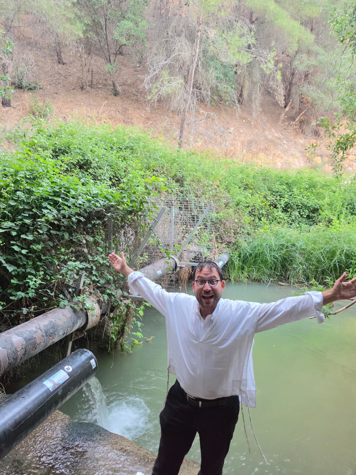 "עין ערבות"