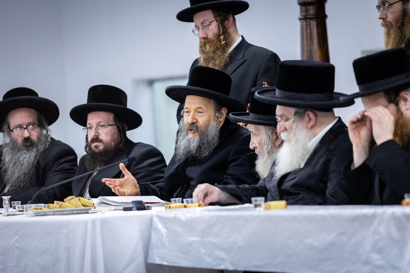 האדמו"ר מבאבוב 45 בביקור בקאנטרי