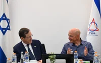 הרצוג במפא"ת
